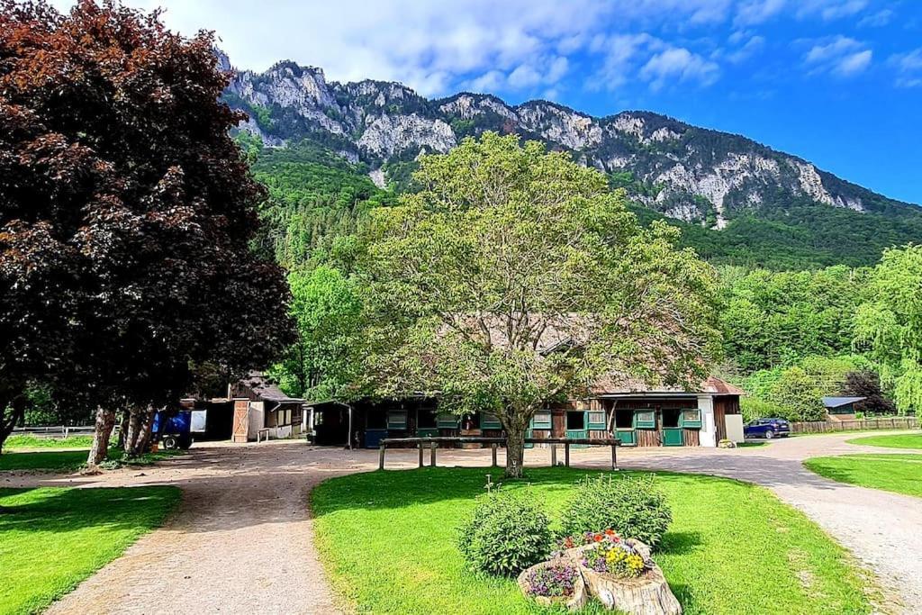 Cosy Family Apartment Reichenau an der Rax Zewnętrze zdjęcie