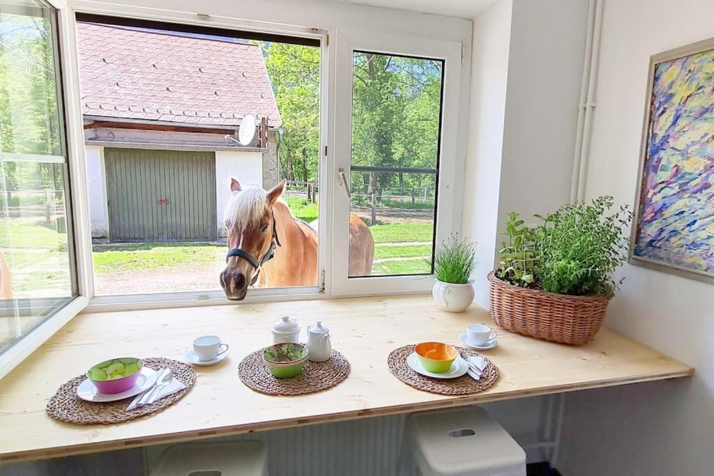 Cosy Family Apartment Reichenau an der Rax Zewnętrze zdjęcie
